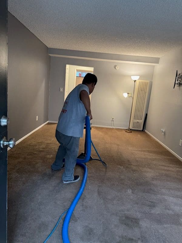 Gallery photos for Professional Carpet Cleaning by Douglas in Van Nuys: Image #2