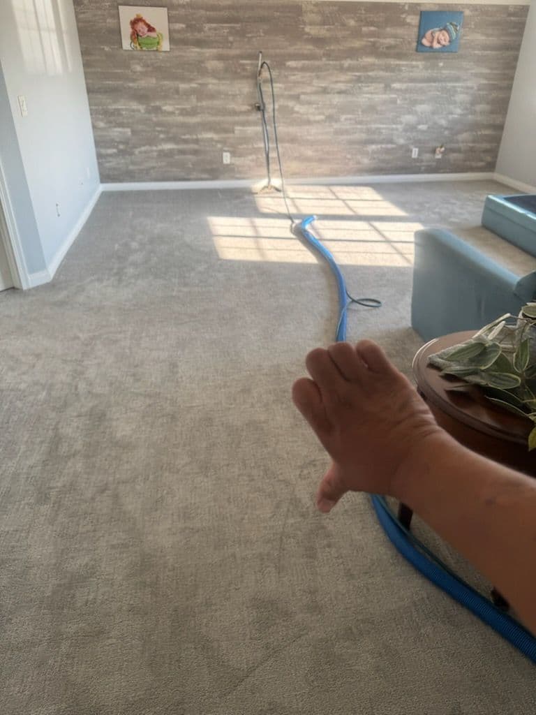 Spotless Carpets and Stairs Shine in Long Beach image