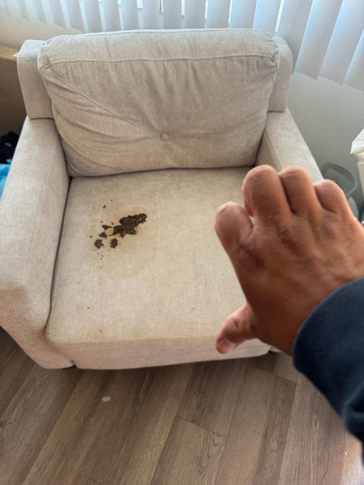 Gallery photos for Sofa Cleaning Transformation in Marina Del Rey: Image #1