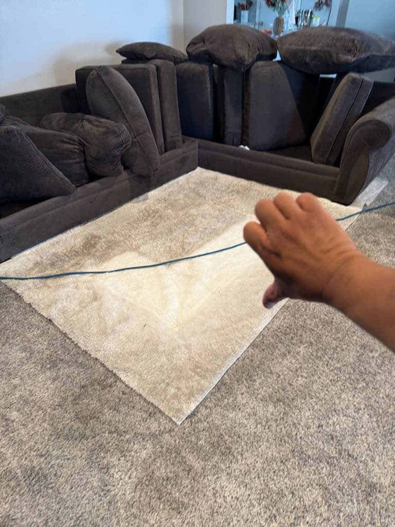 Gallery photos for Rug Cleaning in Reseda - From Thumbs Down to Thumbs Up: Image #1
