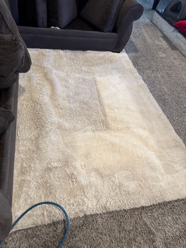 Gallery photos for Rug Cleaning in Reseda - From Thumbs Down to Thumbs Up: Image #2