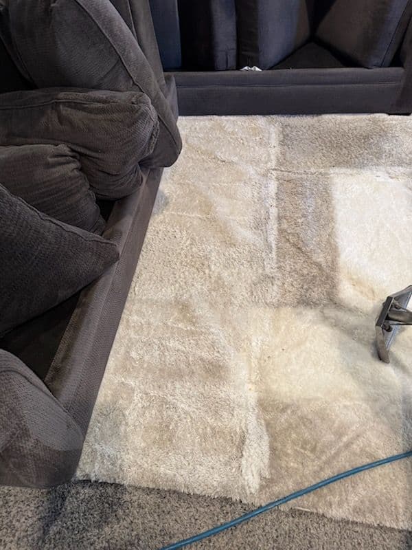 Gallery photos for Rug Cleaning in Reseda - From Thumbs Down to Thumbs Up: Image #3