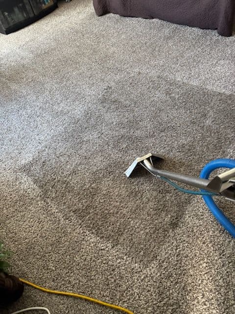 Deep Carpet Cleaning Magic in Los Angeles image