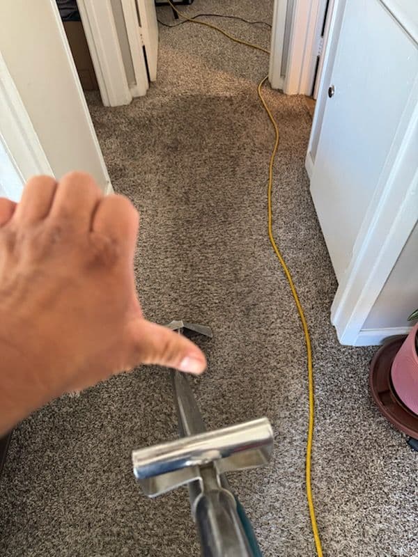Gallery photos for Deep Carpet Cleaning Magic in Los Angeles: Image #1