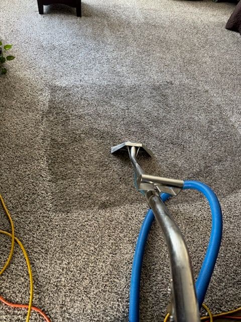 Gallery photos for Deep Carpet Cleaning Magic in Los Angeles: Image #3