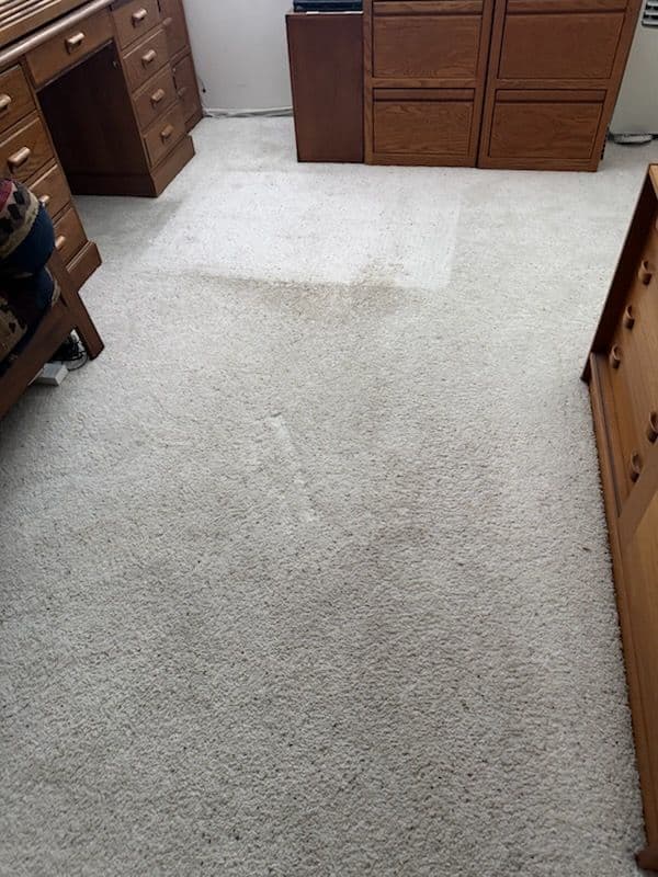 Gallery photos for Home Office Carpet Cleaning in Los Angeles: Image #1