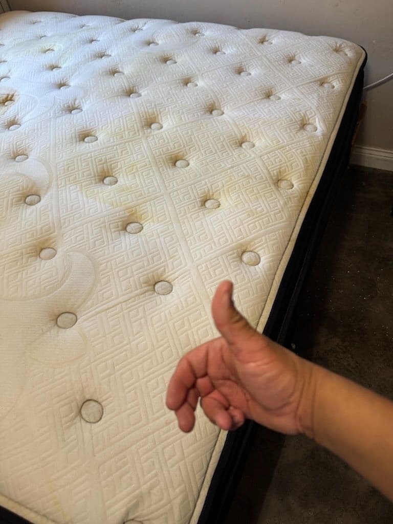 Mattress Makeover in Santa Monica image