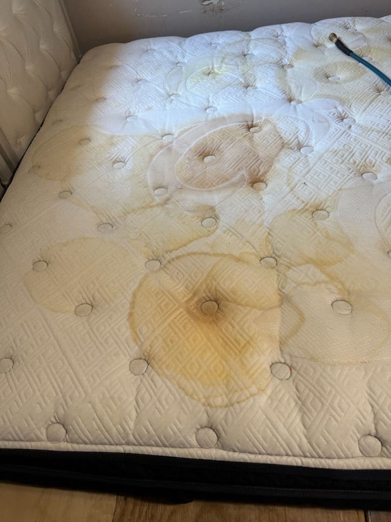 Gallery photos for Mattress Makeover in Santa Monica: Image #3