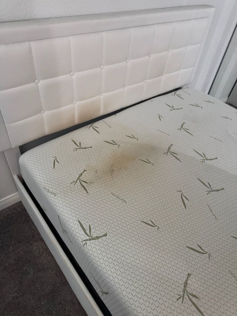 Gallery photos for Mattress Makeover With Douglas Carpet & Upholstery Cleaning: Image #2